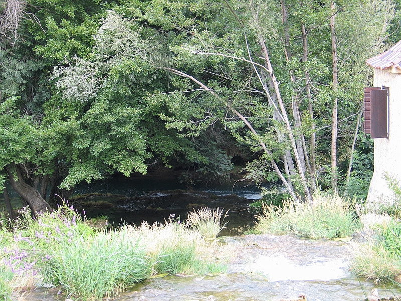 Original image